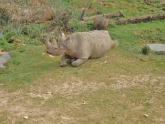 149 BIO PARC DE DOUE LA FONTAINE 7- 2016_000032
